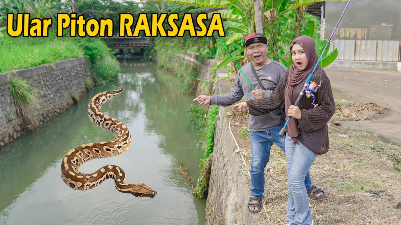 Gawat!! Ada Ular Gede Di Kali Saat Mancing