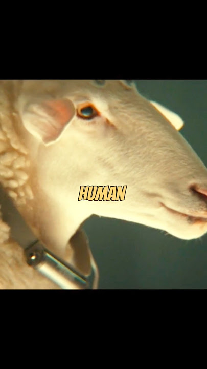 Did you CATCH this in Alien Earth? #alienearth #aliencat #animals