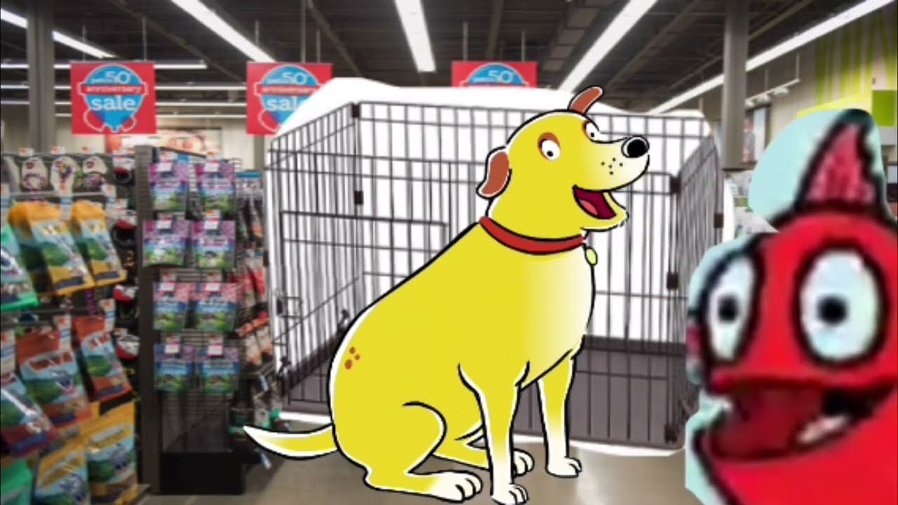 martha-trapped-inside-largest-ever-pet-shop-geico-did-you-know-youtube