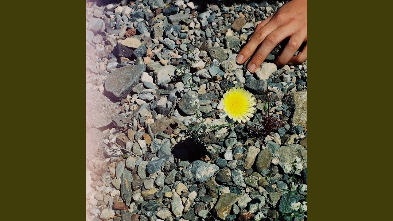 Watch River Tide on YouTube Watch River Tide on YouTube