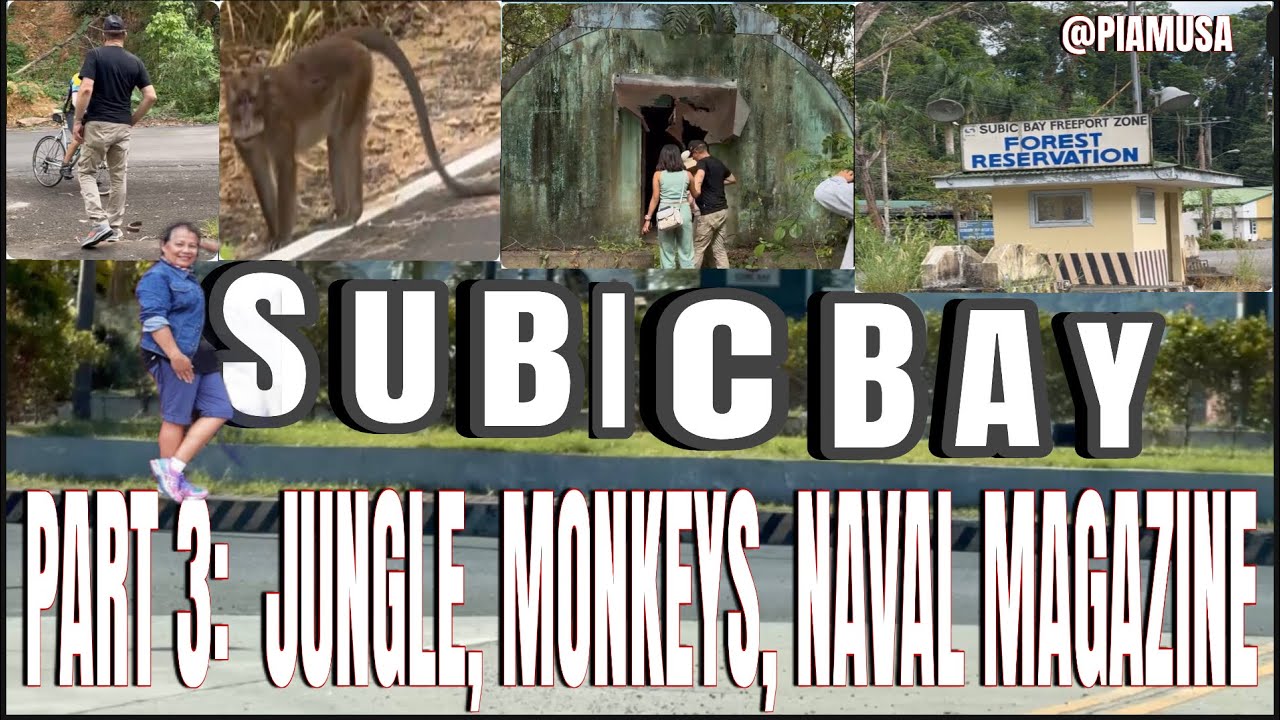 Subic Monkeys Subic Bay - The Quonset Hut, the Monkeys and the Jungle Part 3 - YouTube