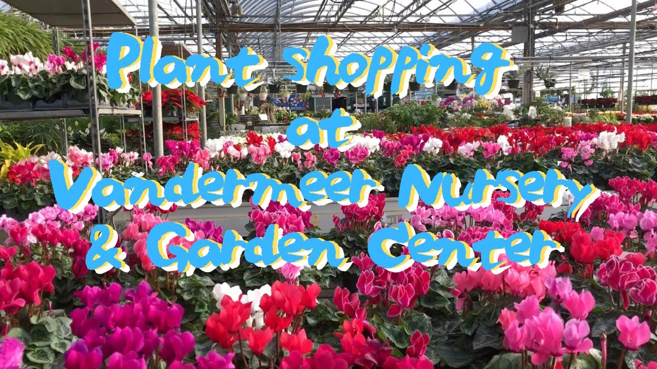 Plant shopping at Vandermeer Nursery & Garden Center in Ajax Canada カナダ