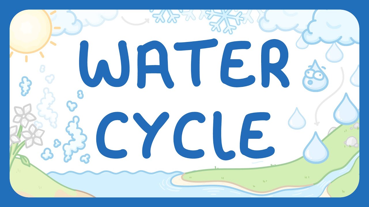 The Water Cycle | Role of Gravity & Sunlight (Middle School Science)