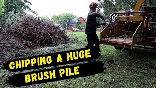 Chipping a big brush pile | Vermeer BC 700XL by Euro Yard Service 344 views 10 months ago 16 minutes