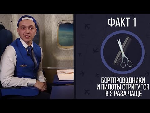 Бортпроводник: факты и скорость. Минтранс.