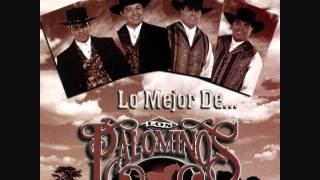 Los Palominos - De rodillas. chords