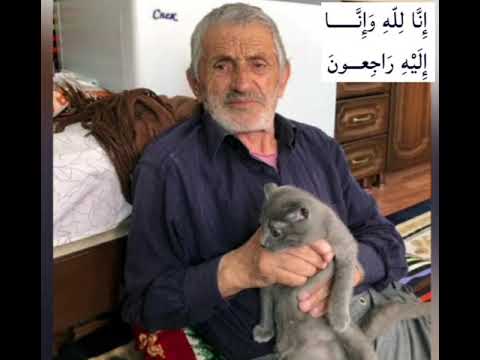 Асильдарова Фатимат
