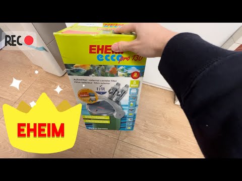 EHEIM eccopro 130 - Installation ｜開箱新的玩具 ｜ 魚缸過濾