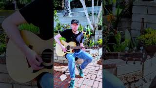 Fortunate Son (CCR) #acousticcover