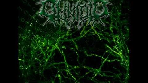 Omnioid - Erased Binary Re-Animation (2018) [Full Album]