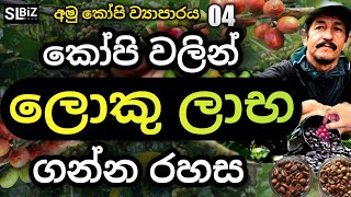 අමු කෝපි වලින් ලොකු ලාභයක් ගන්නෙ කොහොමද | අමු කෝපි ව්‍යාපාරය | 04 | Business Ideas Sinhala | SL BiZ