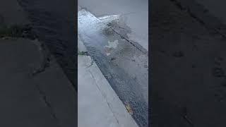 Vecinos del barrio El Progreso denuncian que hace cuatro meses que conviven con una pérdida de agua