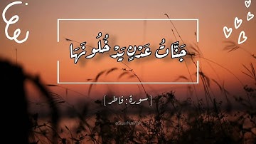 جَنَّاتُ عَدْنٍ يَدْخُلُونَهَا | تلاوه مؤثرة