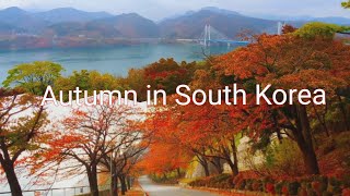 Autumn in South Korea - Chungju Lake  & Cheongpungnaru