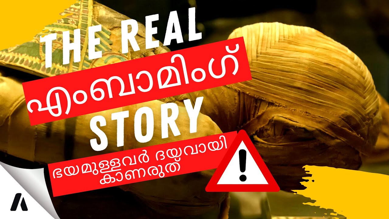 1 Surprising Stats About The Real Story Of Embalming 