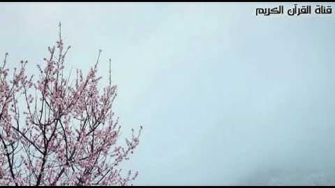 وَهُمْ يَصْطَرِخُونَ فِيهَا رَبَّنَا أَخْرِجْنَا نَعْمَلْ صَالِحًا - تلاوة مبكية للشيخ عبد الله كامل