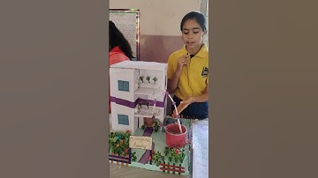School Project | Hydroponic Farming.