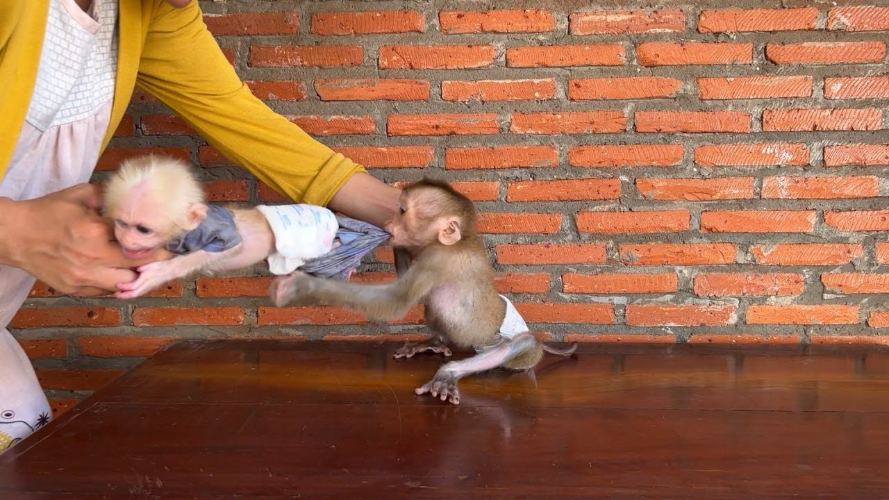 Proud Of Mom Take Care Of Chamroeun From Naugh-Ty Yuri In The Morning