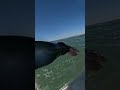 Back to Surf Lineup! Raw POV #Shorts