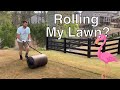 Rolling my lawn