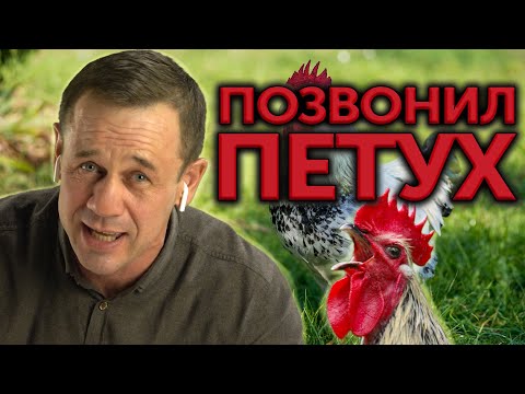 ВЫ БУДЕТЕ В ШОКЕ! ЖЕСТЯК! "АМИГО" ОТ СТРАХА ДАЛ ЗАДНЮЮ! | Как не платить кредит | Кузнецов | Аллиам