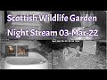 Night Stream March 3rd 2022 | Bird Feeders, Wildlife Cameras Scotland UK from SWG