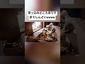 バズりたいてつやvs流石のりょう
