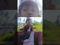 Keindahan Bunga di MAGELANG #reaction #lucu #ngakak #funny #realshorts
