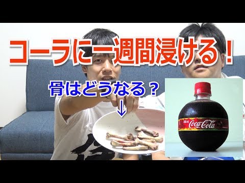 【自由研究】骨を１週間コーラに浸けてほんとに溶けるかやってみた【実験】