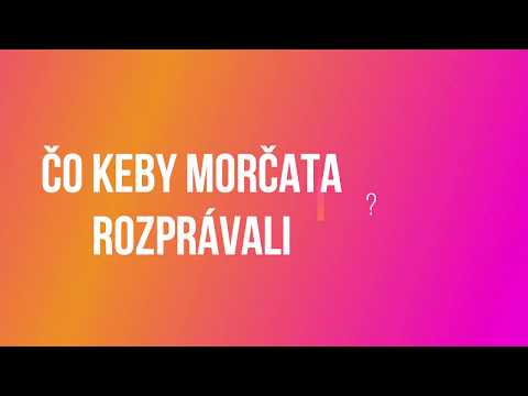 Video: Ako Urobiť Z Morčiat Priateľov