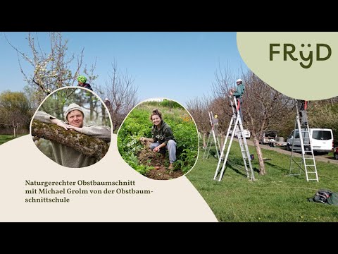 Video: Was macht ein Pomologe: Erfahren Sie mehr über das Studium von Obst und Nüssen