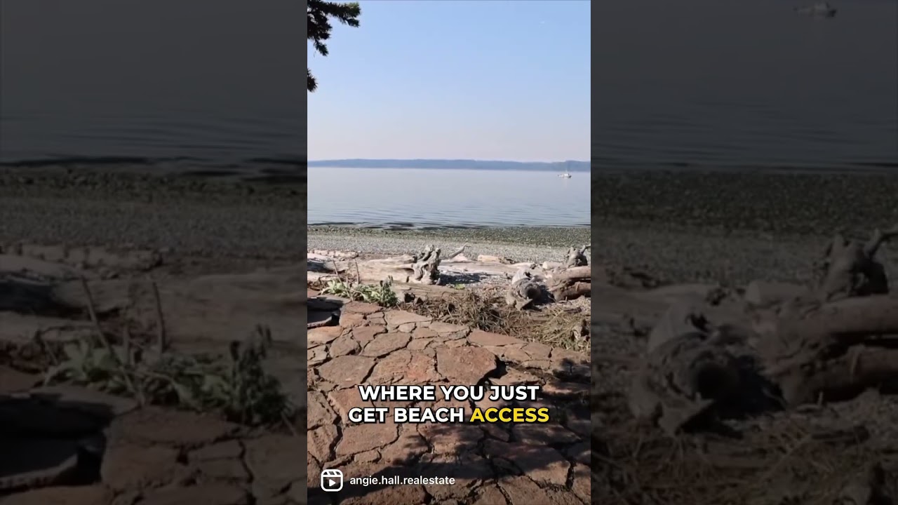 Top Seattle Waterfront | Three Tree Point