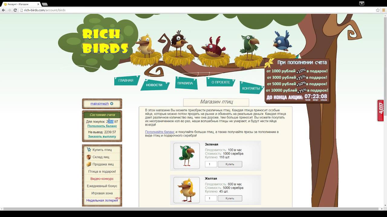 Hack money Birds login.