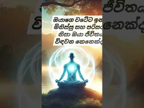 Life Motivation Changeyourmindsetchangeyourlife Lifeisbutadream Love Comedy