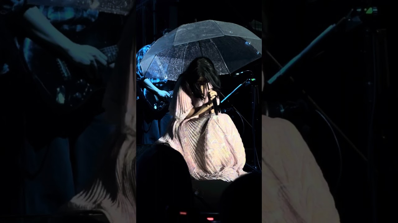 陳綺貞-太聰明 （呼叫音樂節 2025 女神降臨）