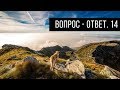 Вопрос - Ответ Выпуск 14. Живое питание, здоровье, жизнь.