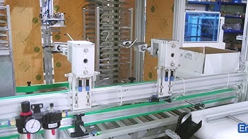 case packer automatic with protective tray inserting loading system