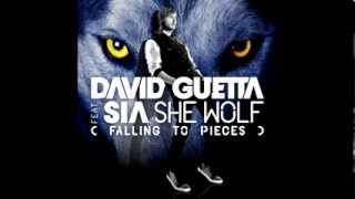 David Guetta ft. Sia - She Wolf (Falling To Pieces)