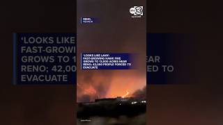 Fast-growing Hawk Fire grows to 13,000 acres near Reno; 42,000 people forced to evacuate