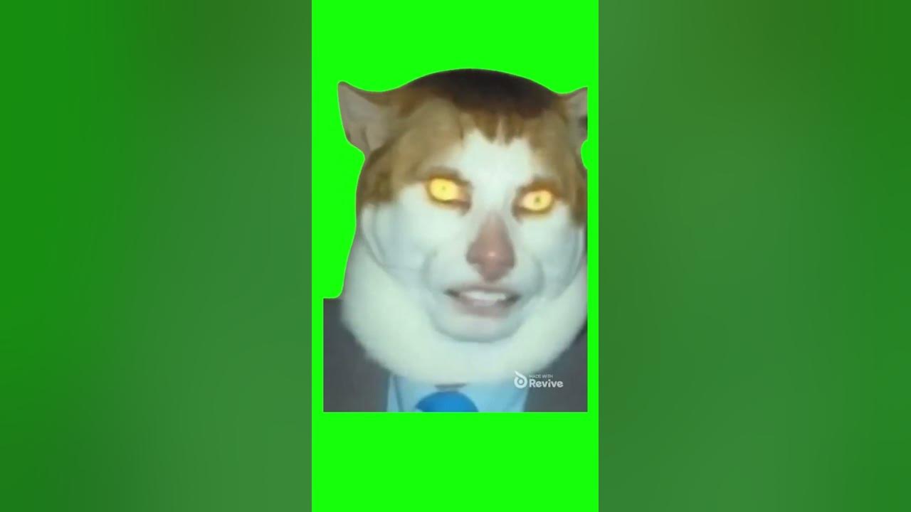 Monday left me. Monday left me. Monday left me broken. Monday left me broken. Monday left me broken.