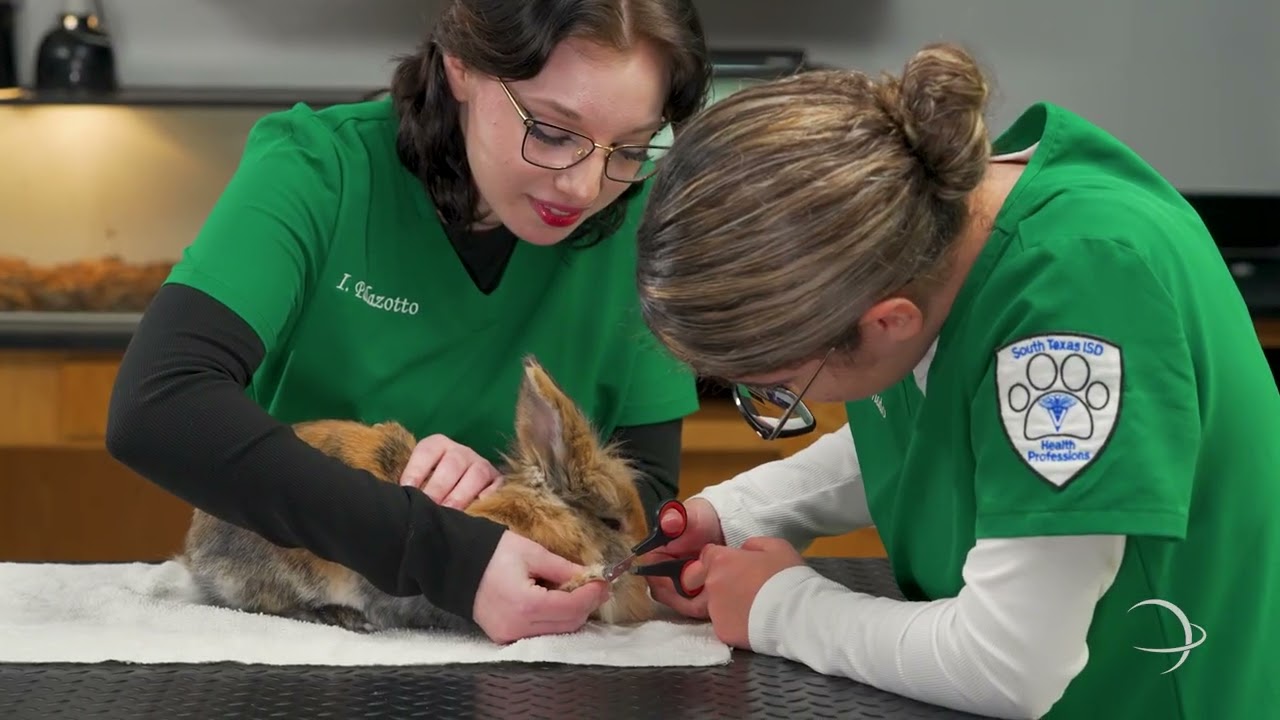 STISD | Career & Technical Education: Animal Science Program at Health Professions