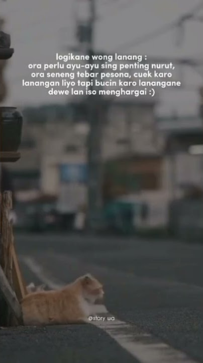 logikane wong lanang #shorts #viral #storykekinian #fyp #meme