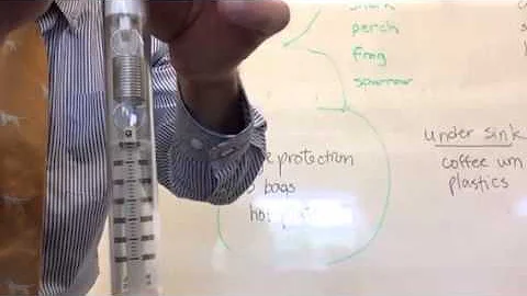 Adjusting a Spring Scale