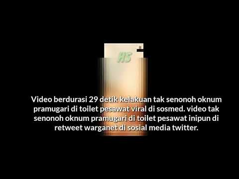 Viral!! Vidio Panas Pramugari Cantik Masturbasi Di Toilet Pesawat