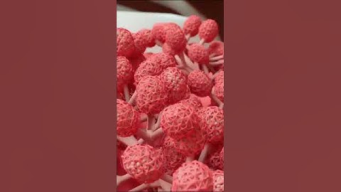 Breastfeeding process in 3D! 🤱🏻 Breastfeeding Techniques in newborns 🍼 #breastfeeding #3danimation