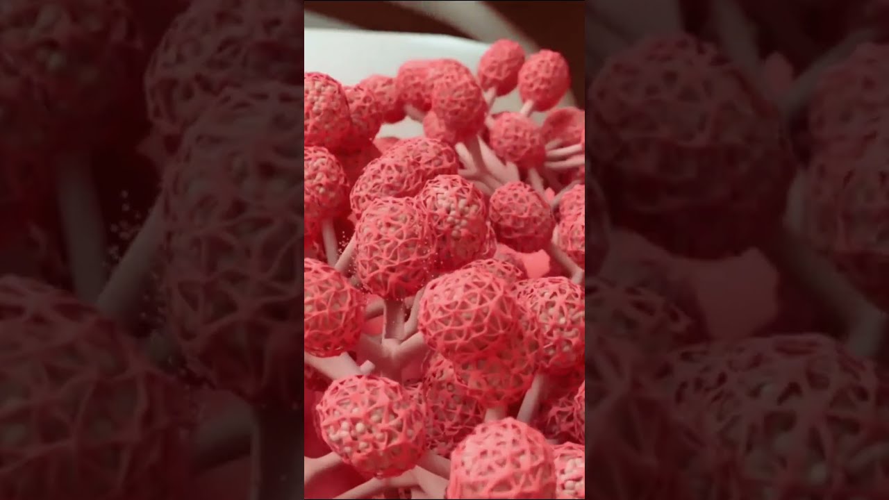 Breastfeeding Process In 3D Techniques Newborns 3danimation