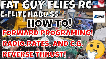 HABU SS RADIO,RATES,CG,REVERSE THRUST,FORWARD PROGRAMING by FGFRC #rc