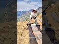 How Farmers Mulch Their Fields Manually! 🛡️ #farming