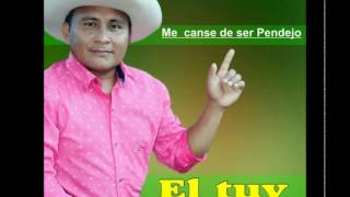 Video thumbnail of "RONEY GUANAY EL TUY FIN DE SEMANA RASCAO"