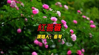 台湾歌后蔡琴的经典之作《紅薔薇》：一首展现台语歌曲魅力和文化价值的佳作